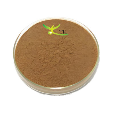 Food Grade Plant Extract Feverfew Extract Powder 10:1 Feverfew Powder