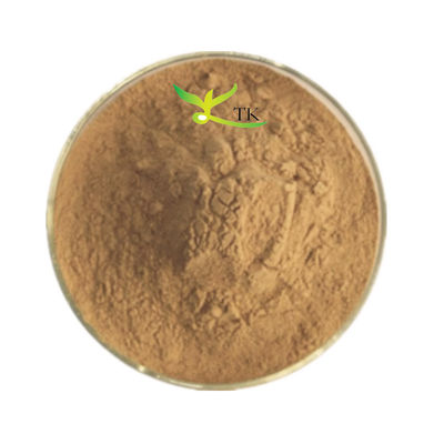 White Label OEM Mullein Leaf Extract Powder Capsules Lung Cleaninghealth