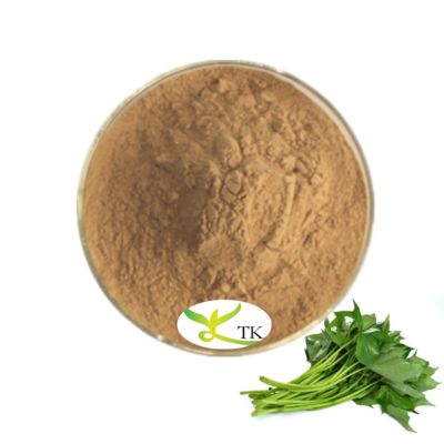 100% Natural Sweet Potato Leaf Powder Sweet Potato Leaf Extract Powder