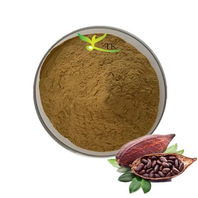 Wholesale Pure Natural Cocoa Bean Extract Cocoa Flavanols Powder Price