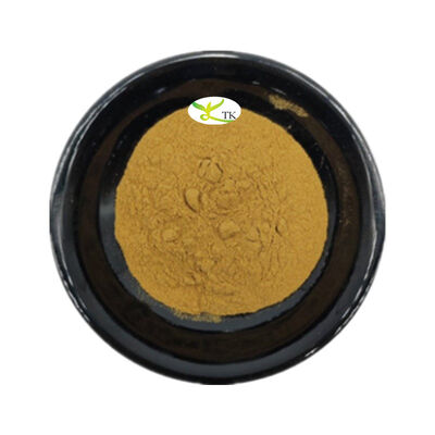 100% Natural Horseradish Root Extract Powder Dried Horseradish Powder