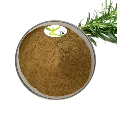 Natrual Rosemary Extract Rosmarinic Acid 5% Powder Rosemary Leaf Extract Powder