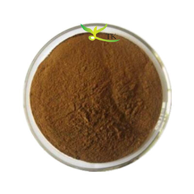 100% Natural ‌Harpagophytum Procumbens‌ Extract Powder Devil's Claw Extract Powder