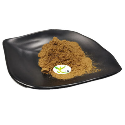 Bulk Pure Beta Ecdysterone Powder 10%~98% Cyannotis Extract Powder