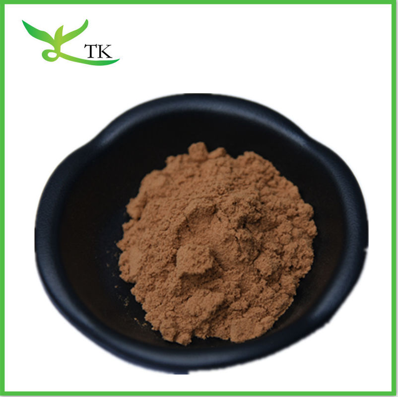 30% Polysaccharide Chaga Mushroom Extract Powder