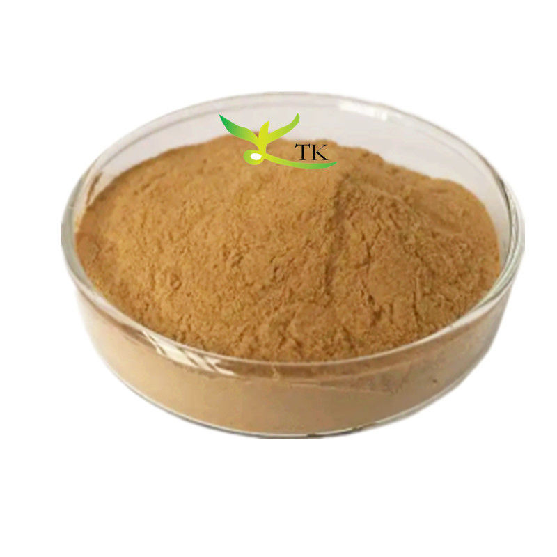 Natural Healthcare Supplement 10:1 20:1 Chickpea Extract Powder