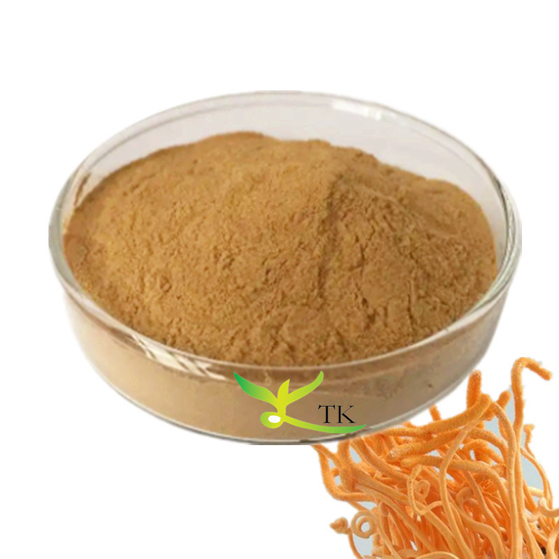 Pure Natural Cordyceps Sinensis Mushroom Extract Powder Polysaccharides 10% 30% Cordycepin 0.1% 1% 2%