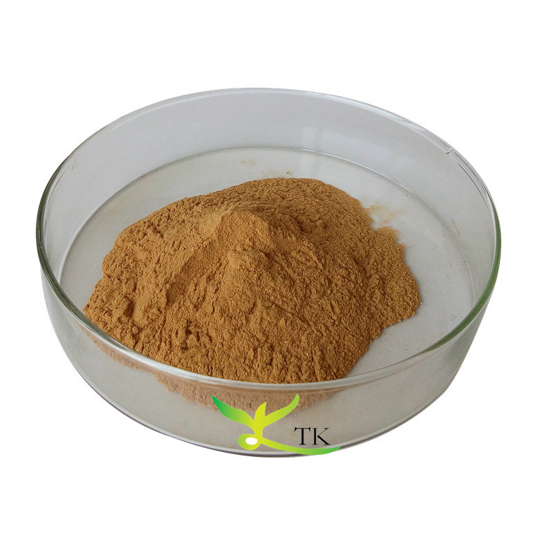 100% Natural Plant Extract Eucommia Ulmoides Extract Powder Chlorogenic Acid 5% 25%