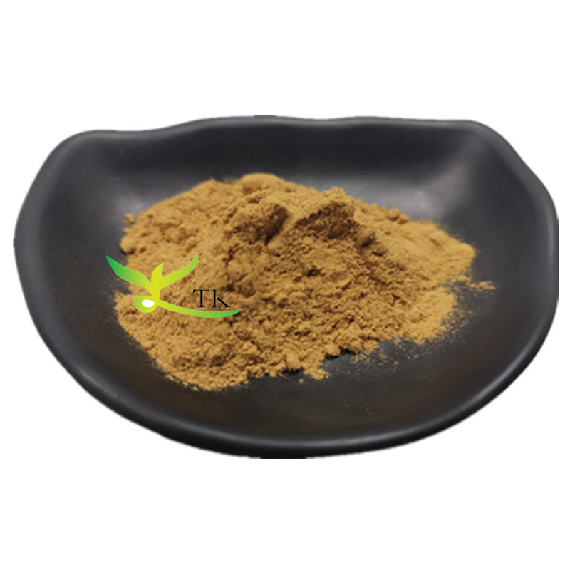 For Better Lungs Mullein Leaf Extract Powder Mullein Leaf Extract Capsules In Bulk