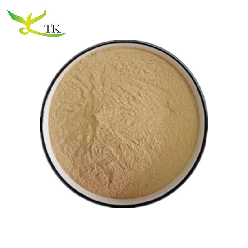 100% Natural Green Lipped Mussel Powder for Healthcare Freeze Dried Green Lipped Mussel Powder
