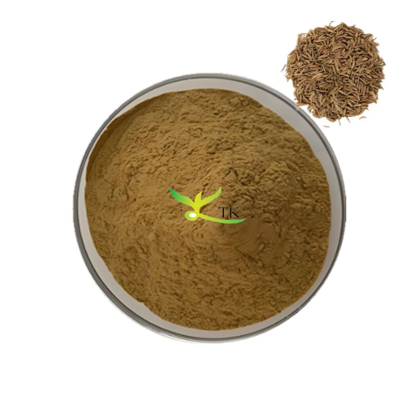 Wholesale Price Natural Spices Extract Carum Carvi Caraway Seeds Extract Caraway Seed Powder