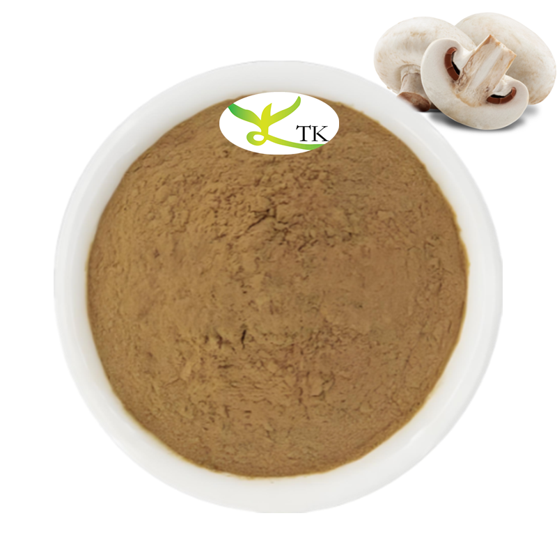 Natural Mushroom Extract Supplement Agaricus Bisporus Extract Powder Polysachrides 10%~30%