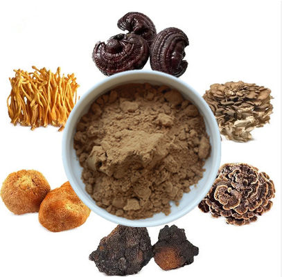 Mix 6 In 1 Mantar Ekstraktı Tozu Cordyceps Ganoderma Reishi Chaga Türkiye Kuyruk Maitake Aslan Kırmızı Mantar Tozu