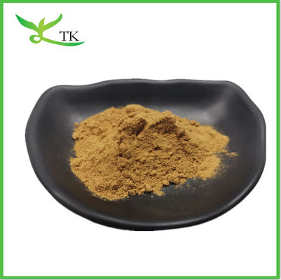 Fenugreek Ekstraktı Gıda Kaliteli Bitkisel Takviyeler Saf Fenugreek Ekstraktı Tozu