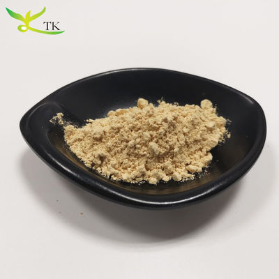 Süper Gıda Sağlık Hericium Erinaceus Extract Lion's Mane Mantar Tozu