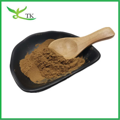 Doğal Bitki Ekstraktı Coleus Forskohlii Kök Ekstraktı Tozu 20% 98% Forskolin