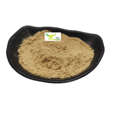 En İyi Fiyat Gıda Kaliteli Balkabağı Tohumu Protein Tozu 80% Balkabağı Tohumu Ekstraksi Tozu