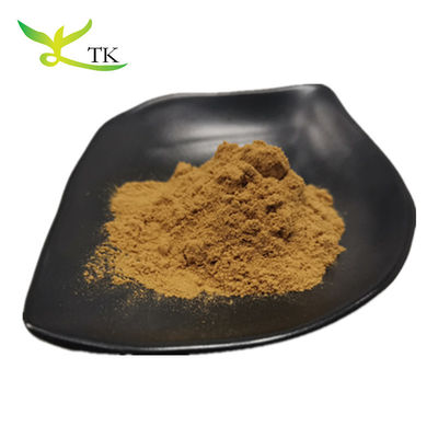 Toptan Toplaya Yerba Mate Ekstraksi Doğal Paraguay Tea Mate Çay Ekstraksi