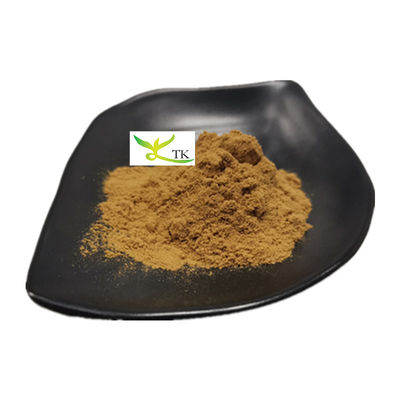 % 100 Doğal Osyter Mantar Ekstraktı Tozu Pleurotus Ostreatus Ekstraktı