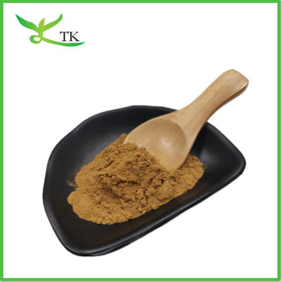 Cistanche Tubulosa Ekstrakt Tozu 50% Echinacoside + 10% Verbascoside