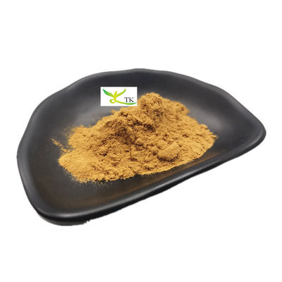 Doğal Astragalus Membranaceus Ekstraktı Astragaloside IV Sikloastragenol Tozu