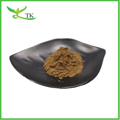 Ek Cistanche Tubulosa Ekstrakt Tozu 50% Echinacoside + 10% Verbascoside