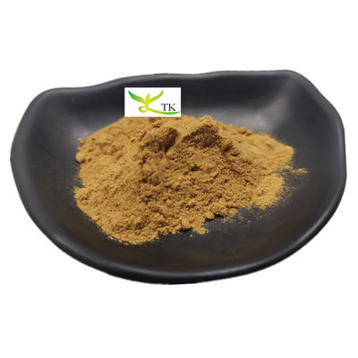Toptan Fiyat Tedarik Doğal Nasturtium Officinale Su Kirpi Ekstraktı 10:1 Su Kirpi Tozu