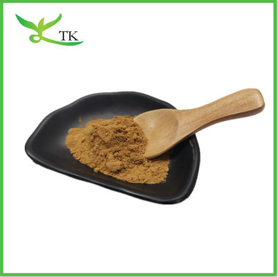 Cordyceps Sinensis % 40 Polisaharid Cordyceps Sinensis Ekstraksiyonu