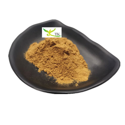 Doğal Bitkisel Takviye Panax Quinquefolius Ekstrakt Tozu 10:1 20:1 Amerikan Ginseng Ekstrakt Tozu