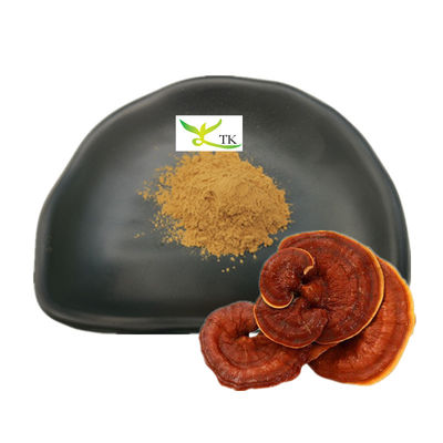 Cümle Ganoderma Lucidum Ekstraktı Reishi Mantar Ekstraktı Toz Polisaharidler 30%