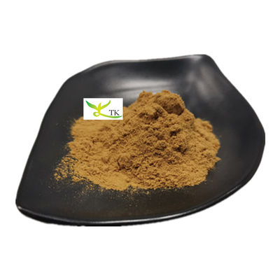Doğal YU XING CAO Houttuynia Cordata Ekstraktı Tozu Heartleaf Houttuynia Herb Extract P.E.