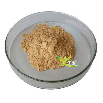 Yüksek saflıklı deniz yosunu ekstresi fucoidan tozu