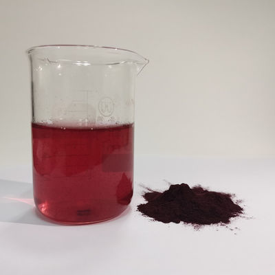 HACCP Fabrikası En İyi Fiyat Toptan Doğal % 25 yabanmersine Ekstrakt Tozu Antosiyanin Suda Erimiş