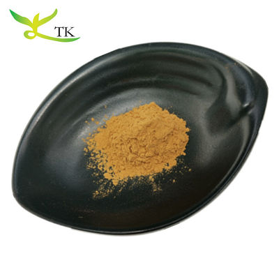 100% Doğal Çin Bitki Ekstraktı Astragalus Kök Ekstraktı Tozu Huangqi Ekstraktı Tozu