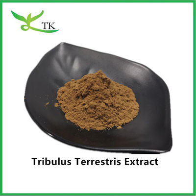 Toptan en iyi fiyat 100% Doğal Tribulus Terrestris Ekstraktı Tozu Saponin 40%