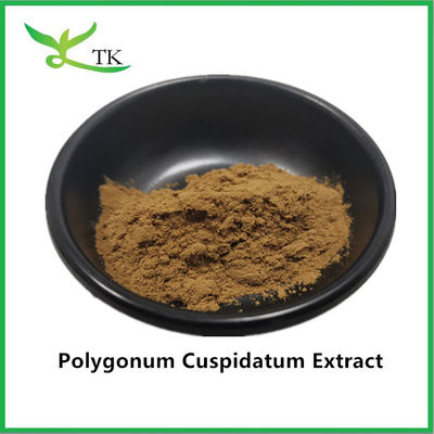 Temiz Doğal Bitki Ekstraksiyonu Dev Düğüm Ağacı Polygonum Cuspidatum Ekstraksiyonu % 20 Resveratrol