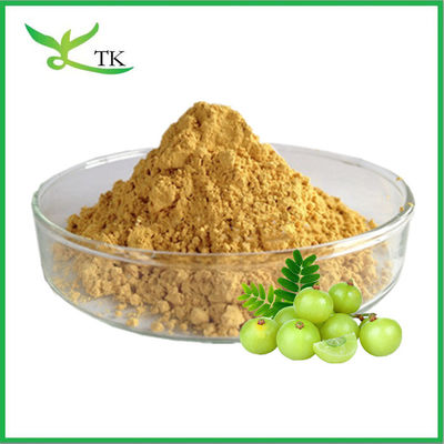 En İyi Fiyat Gıda Derecesi Hint Gooseberry Extract Powder Amla Meyve Ekstraksiyonu