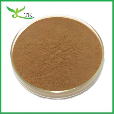 Toplu Fiyat Doğal Polypodium Leucotomos Ekstrakt Tozu Polypodium Ekstraktı