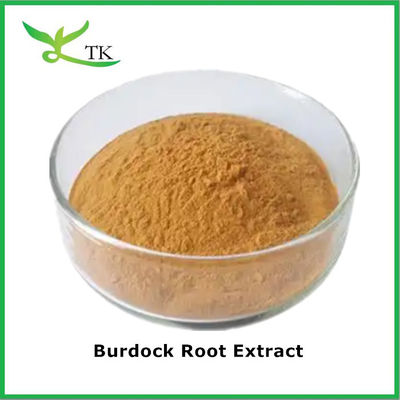 Doğal Botanik Bitki Tozu Arctium Lappa Kök Ekstraktı Burdock Kök Tozu