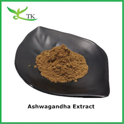 Geleneksel Ayurvedik Tıp Hint Ginseng Ashwagandha Ekstrakt Tozu Aswagganda Ekstrakt Tozu