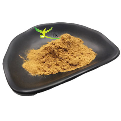 Toptan Fiyat Gıda Sınıfı Galangal Ekstraktı Galangal Kök Ekstraktı Tozu