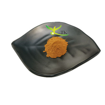Doğal Bitkisel Ekstrakt Vitex Agnus Castus Ekstrakt Vitex Agnus Castus Toz Fiyatı