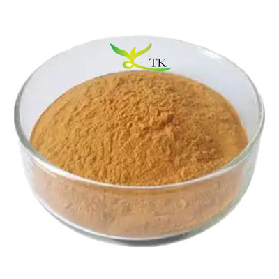 Toptan Fiyat 100% Doğal Verbascum Thapsus Ekstrakt Tozu 10:1