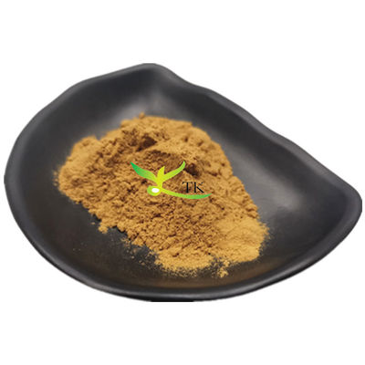 Doğal Bitkisel Ekstrakt Lingonberry Leaf Extract Lingonberry Leaf Powder Fiyatı