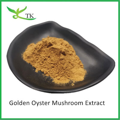 Doğal Mantar Takviyesi Pleurotus Citrinopileatus Altın İstiridye Mantar Ekstrak Tozu