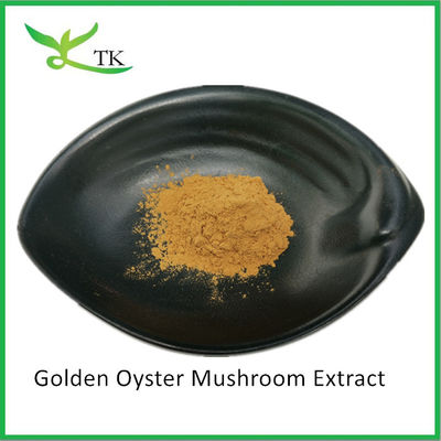 Doğal Mantar Polisaharitleri Pleurotus Citrinopileatus Ekstraktı Toz Citrine Pleurotus Ekstraktı