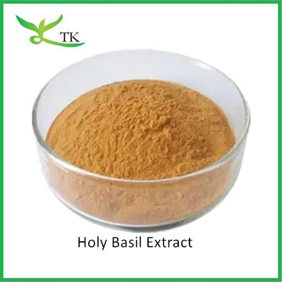 Doğal Gıda Sınıfı Kutsal Basil Ekstrasyonu Tozu Kutsal Basil Yaprak Ekstrasyonu Tozu