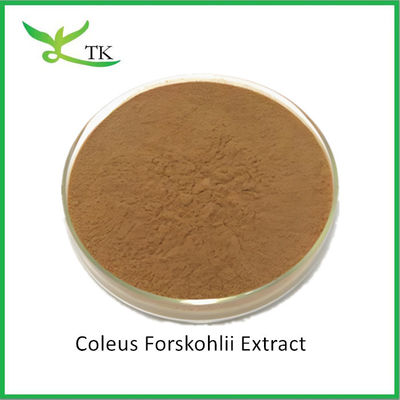 Toptan Satış Doğal Bitki Ekstraktı Coleus Forskohlii Ekstrakt Tozu Forskolin Fiyatı