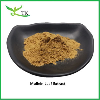 Doğal Bitki Ekstraktı Takviyesi Verbascum Thapsus Mullein Leaf Extract Verbascum Thapsus Ekstraktı Tozu