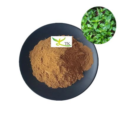 Doğal Geleneksel Çin Tıbbı Kalmegh Ekstresi (Andrographis Paniculata Ekstresi Tozu)